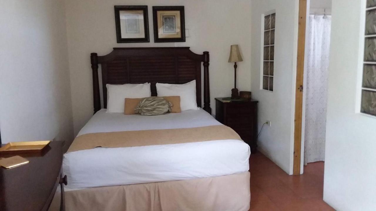 Casa De Tortuga Guesthouse 别克斯 外观 照片